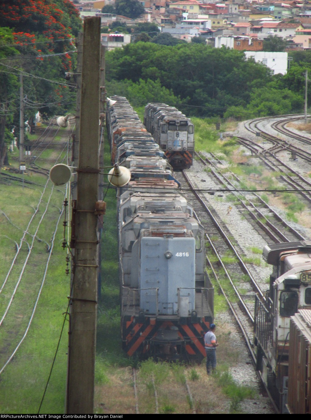 VLI 4816